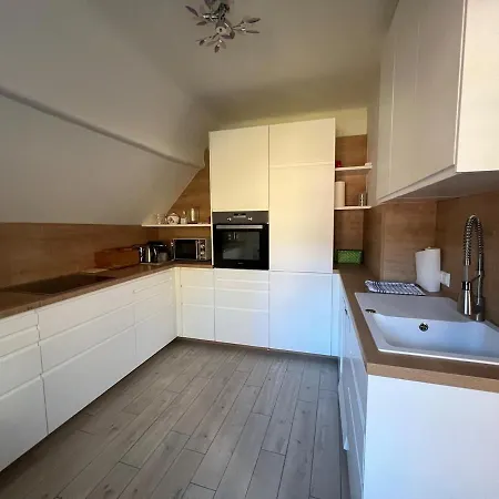 Elsa Austria Appartamento Murau