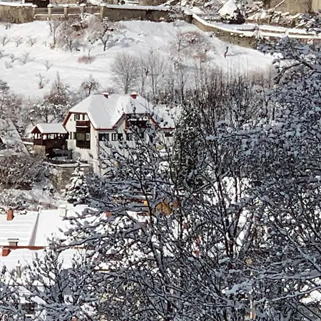 Elsa Austria Apartment *