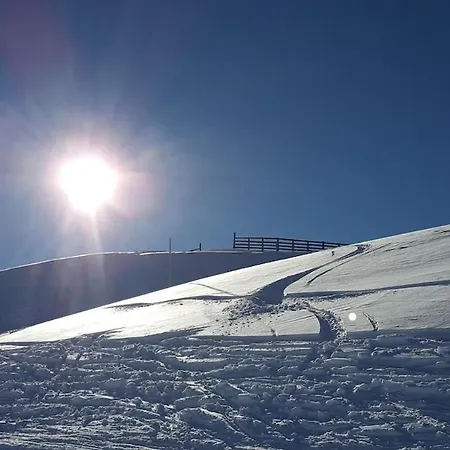 Elsa Austria Apartment Murau