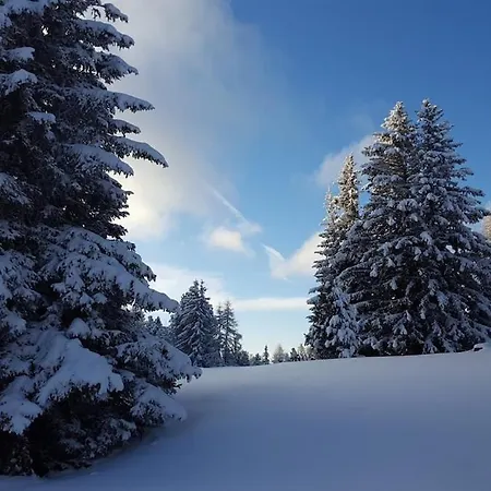 Elsa Austria Appartamento Murau