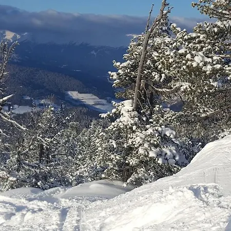 Elsa Austria Appartamento