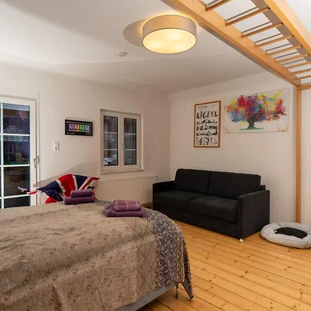 Elsa Austria Appartamento Murau