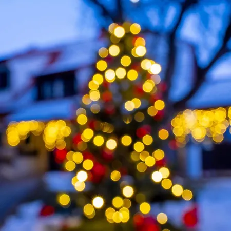 Elsa Austria Appartamento Murau