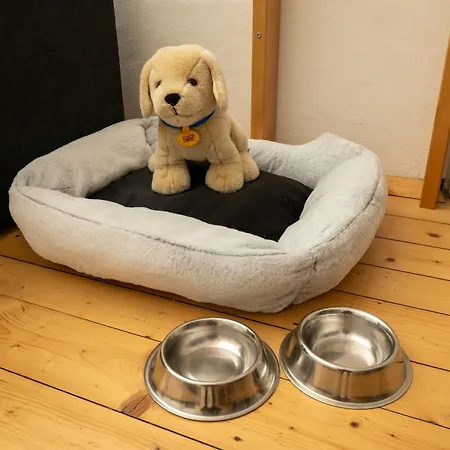 Elsa Austria Appartamento Murau