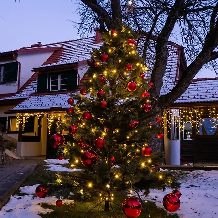 Elsa Austria Appartamento Murau