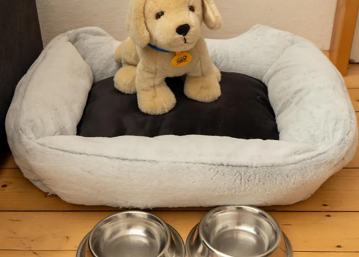 Elsa Austria Апартаменты Мурау