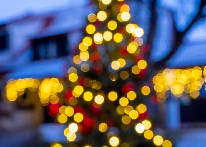 Elsa Austria Апартаменты Мурау