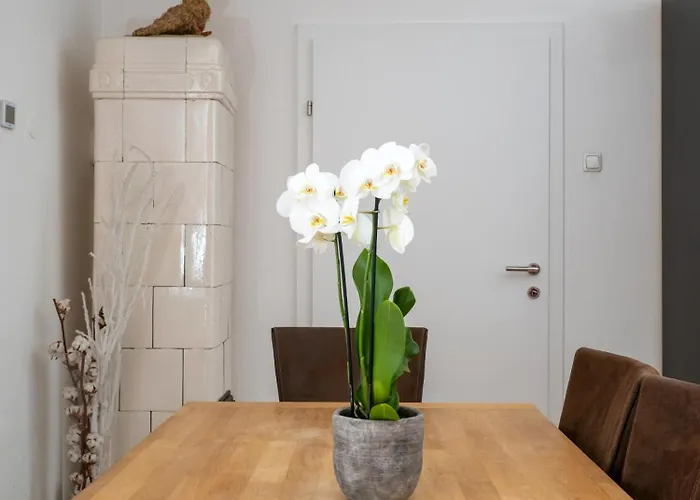 Apartamento Elsa Austria